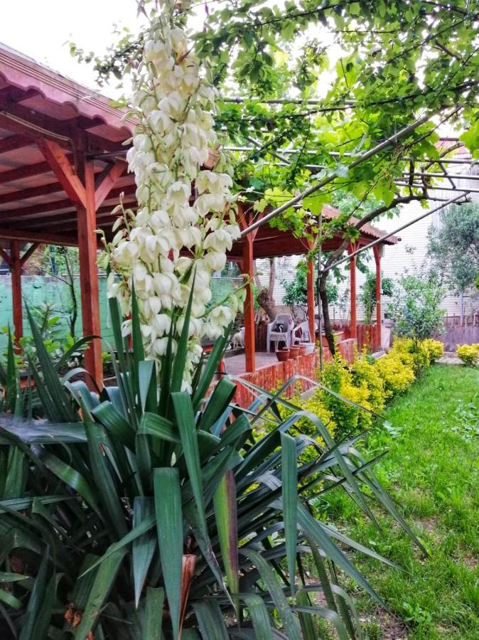 Kilic Motel Istanbul Ngoại thất bức ảnh